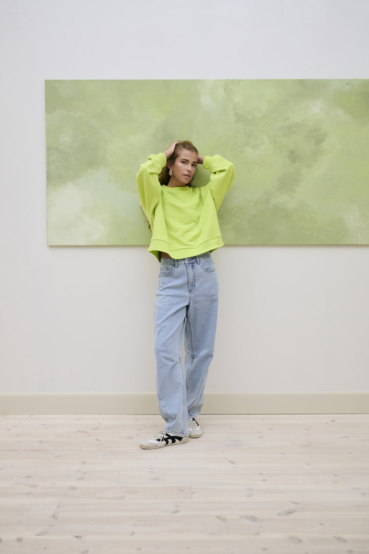 Minna Modern Cut Jeans - High Waist