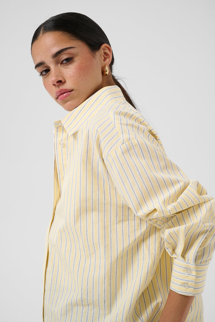 Chemise 100% coton Aster - À rayures verticales