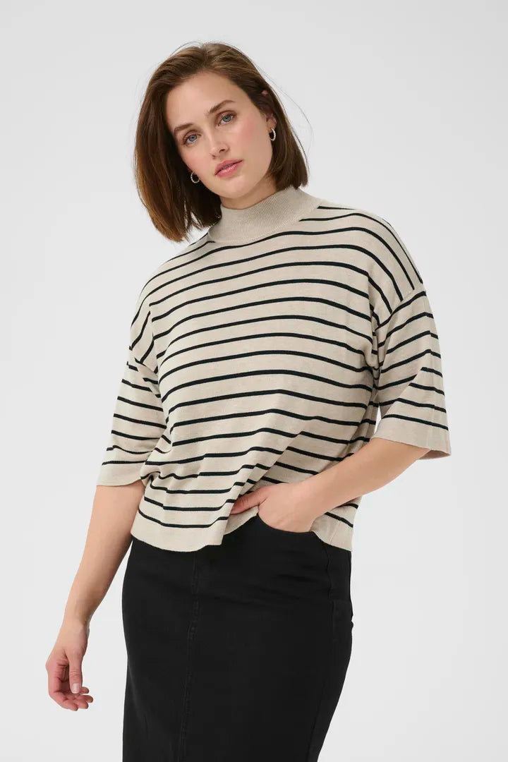 Col roulé à manches courtes et ses rayures Lizza