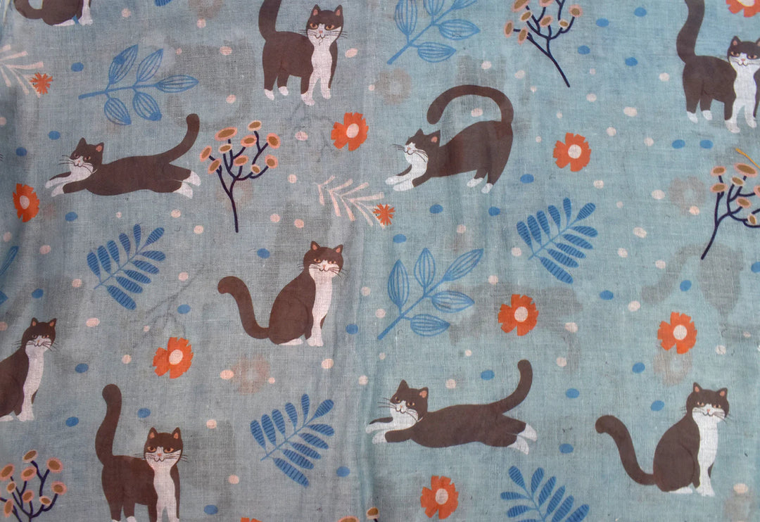 Foulard long à motif chats